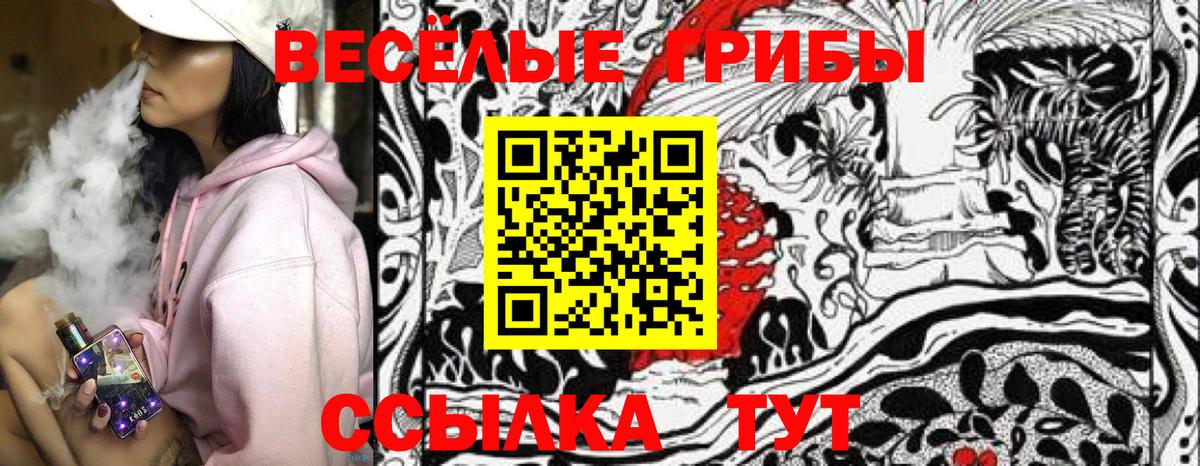 Псилоцибиновые грибы Psilocybe Комсомольск-на-Амуре
